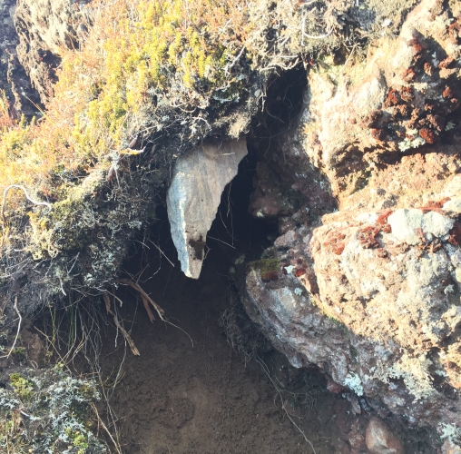 This pointy rock, guarding a small cave, was held in place only by roots.